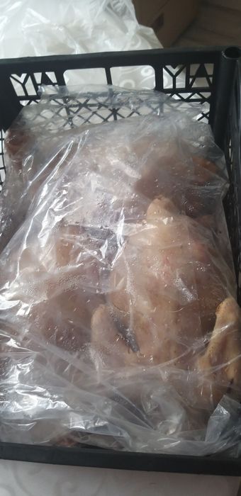 Тауық еті бойлер