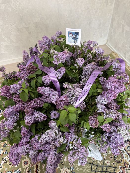 апрельски сирень 35.000тт