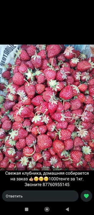 Клубника домашняя на продажу.