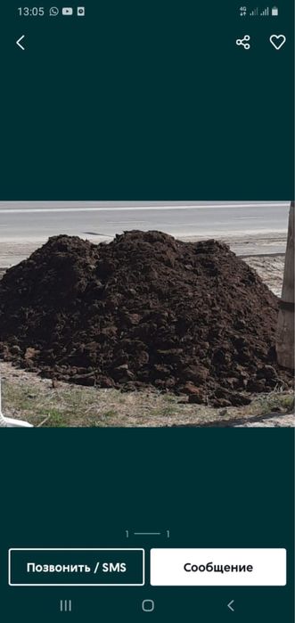 Көң бар шеңгелдің топырағы бар