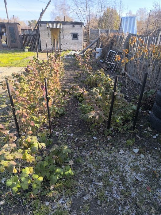 Срочно! Дача. Торг