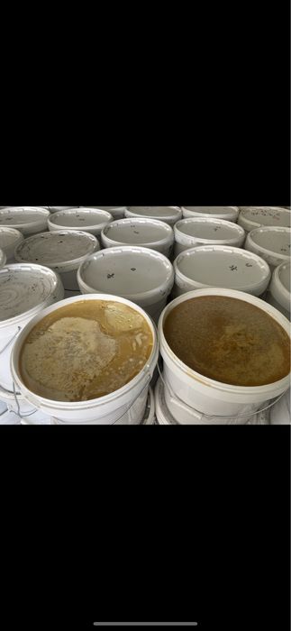 Мед с ВКО 2025.