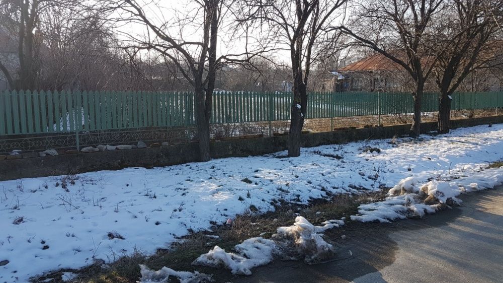 Curte de vanzare comuna Crevedia,sat Cocani,Dambovita