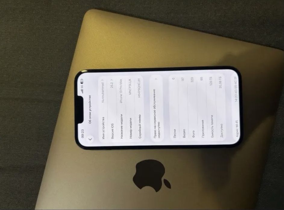 iPhone 13 Pro Max Ideal