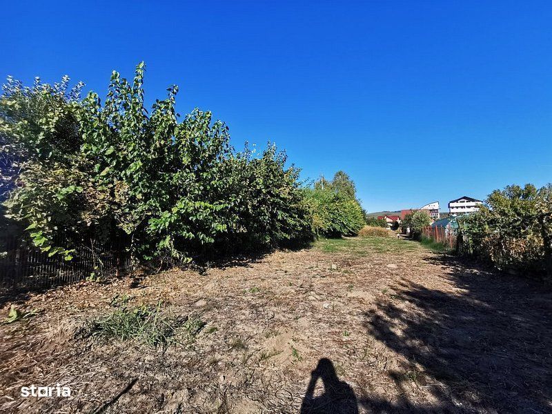 Teren de vanzare in zona Ostroveni