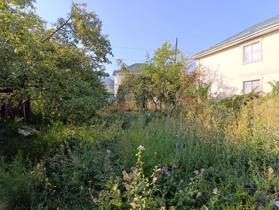 Продам дачу по Жандосова