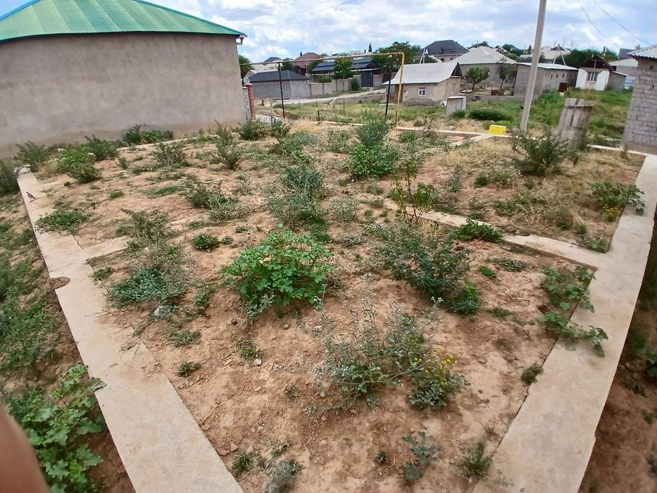 Шымкент қаласын жер сатылыды.