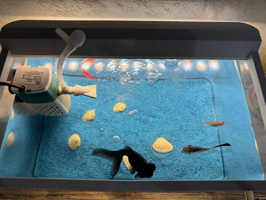 Продам аквариум в городе кандыагаш