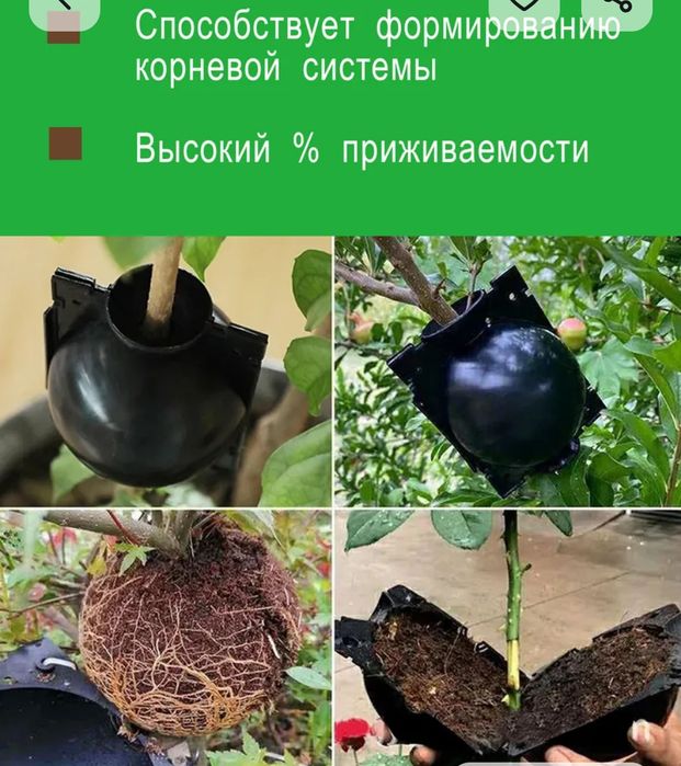 Шары для укоренения растений