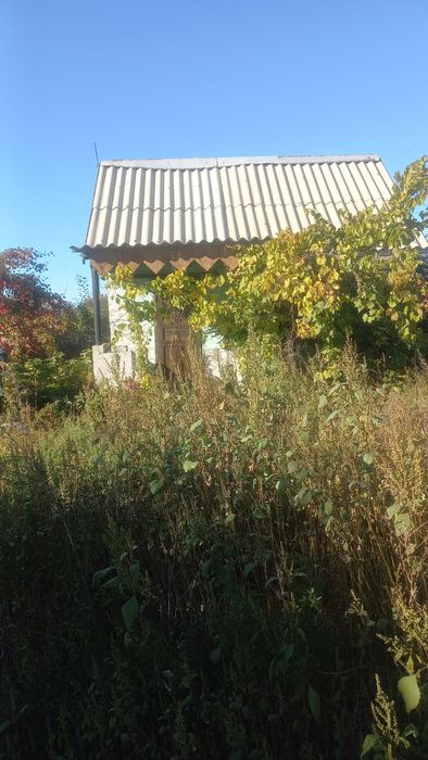 Дача сад Реченька