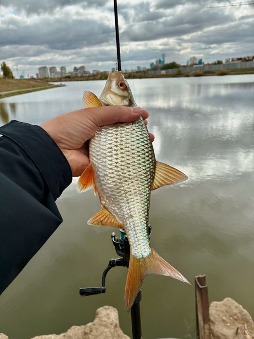 Спиннинг ультралайт Mifine nano jig