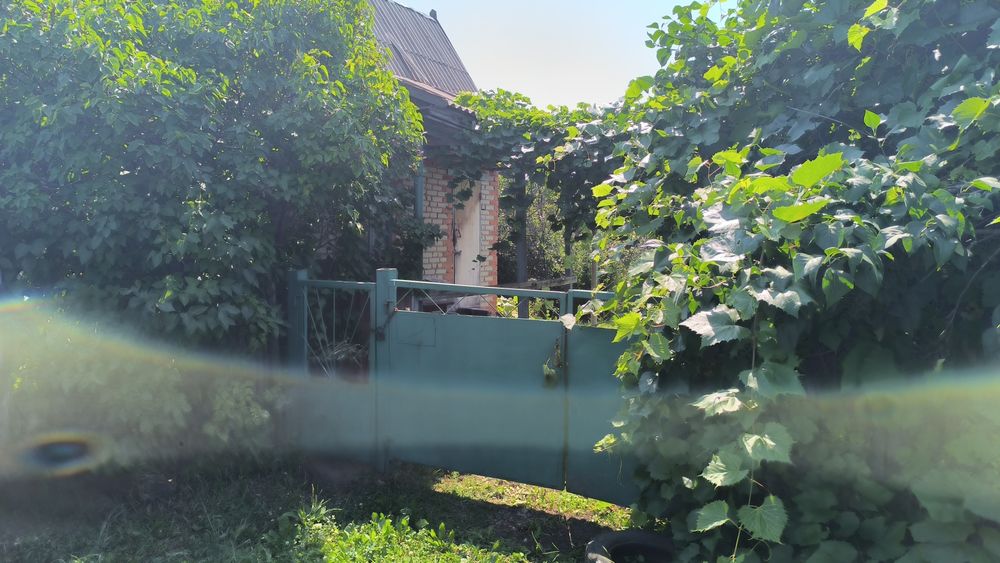 Продам дачу после уборки урожая