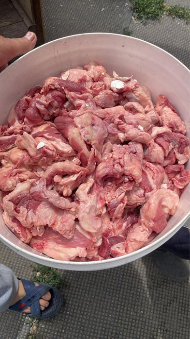 Продам мясо для собак