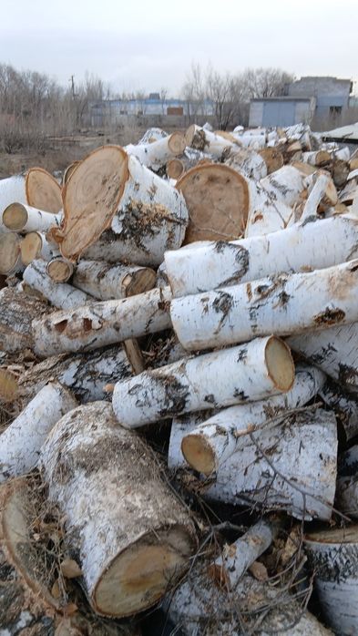 Продам дрова, сосна и берёза колотые