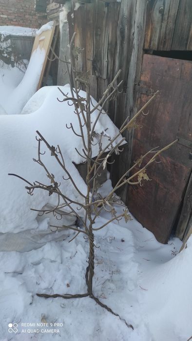 Статуэтки  разные.