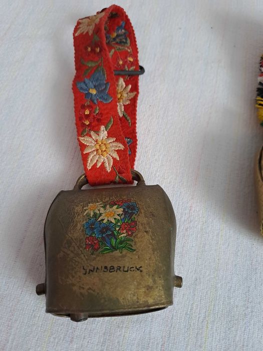 talanga elvetiana  24 cm curea