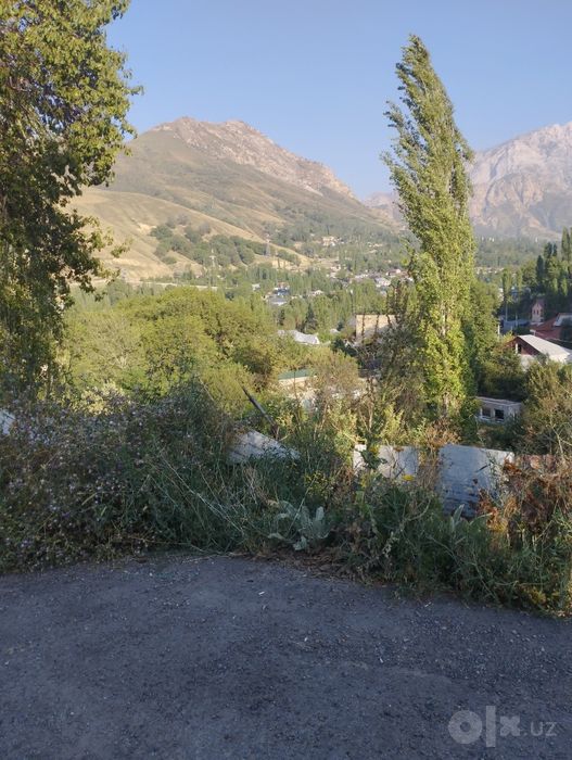 Стяжка , штукатурка , бетонные работы ,коробка.