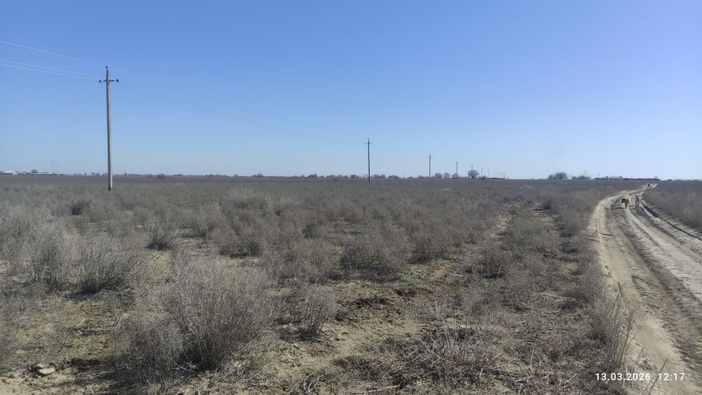 Бизнеске арналған жер.