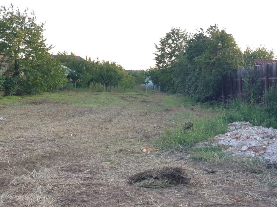 Teren simian zona 0