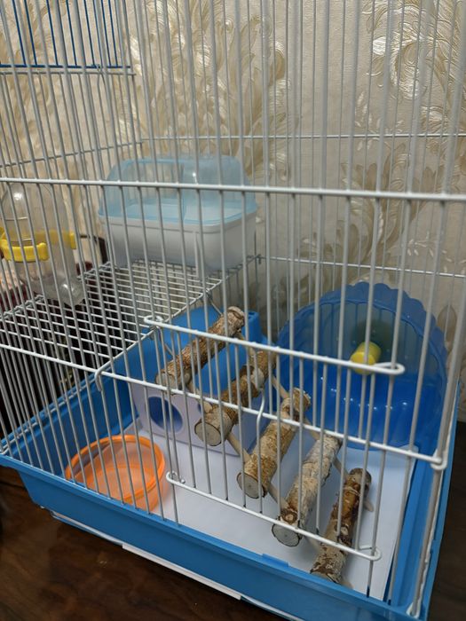 Клетка для грызуна