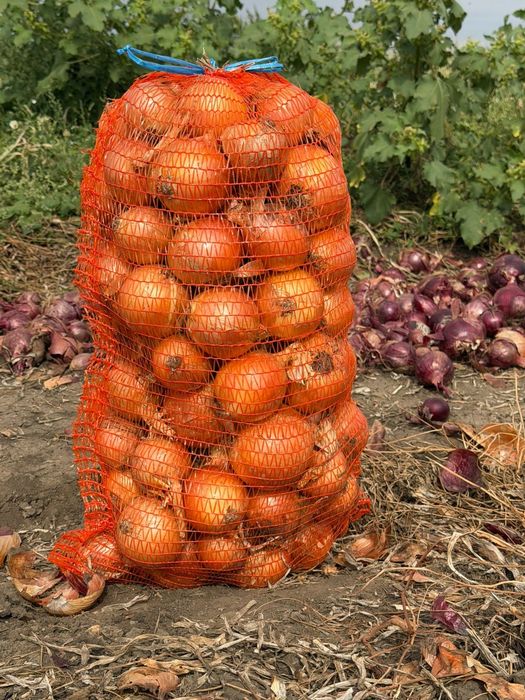 Ceapa Galbena/Rosie