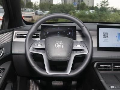 BYD Qin PLUS EV 510KM (Оқ ранг