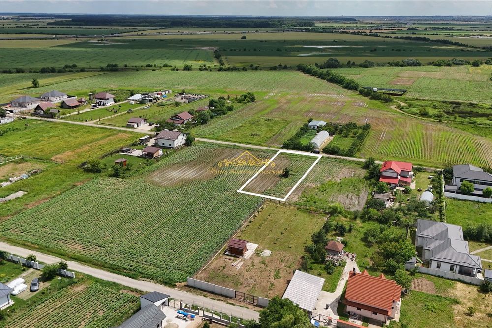Teren 1500 mp Caciulati Moara Vlasiei, cu utilități