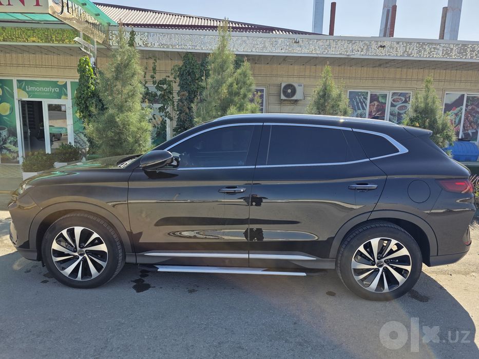 BYD Cgempion gibrid