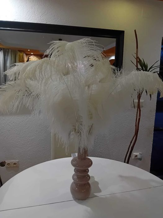 Pene de struț pentru evenimente