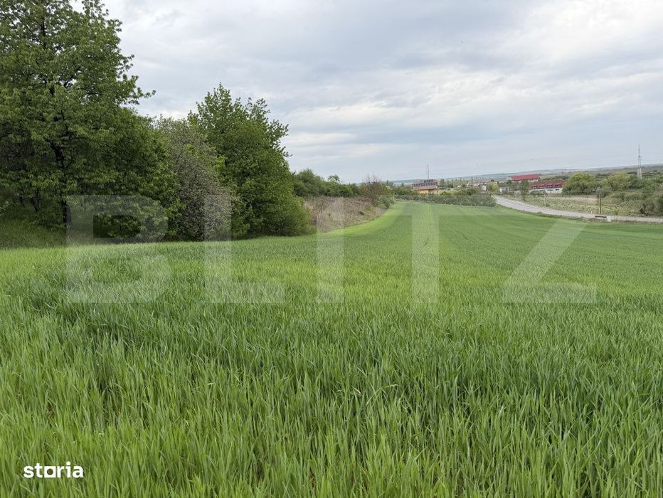 Teren intravilan in localitatea Bobota in suprafata de 12500 mp