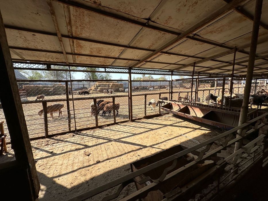 Фермерское хозяйство