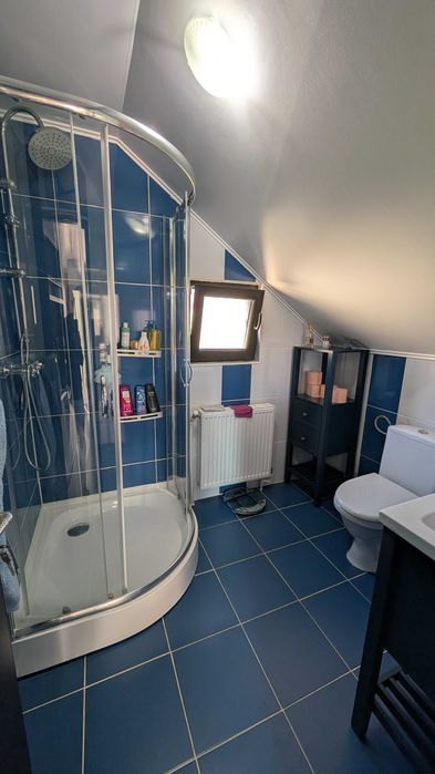 Casă individuală P+M de vânzare – Lunca Cetățuii, zona Editurii