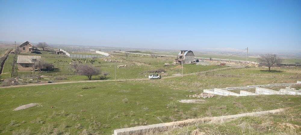 Участка дала ховли