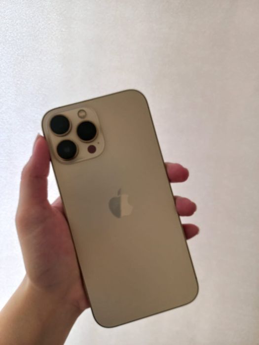 Iphone 13 Pro Max 128gb