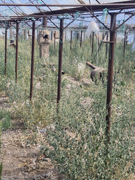 12сот теплица сатылады