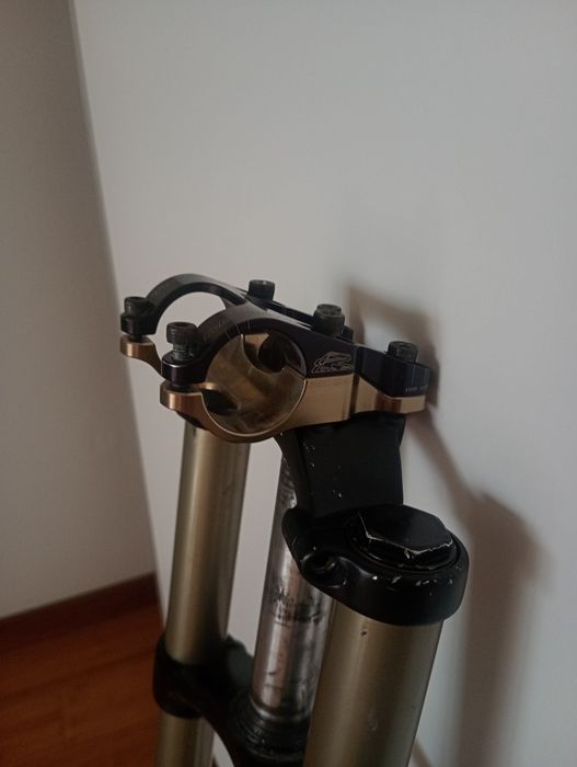 Rockshox boxxer 2009.pipa renthal