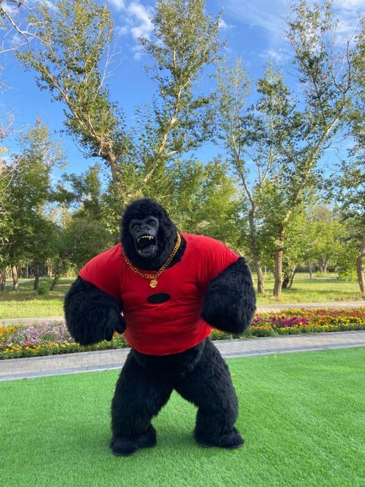 АНИМАТОР / Горилла/ Кинг конг