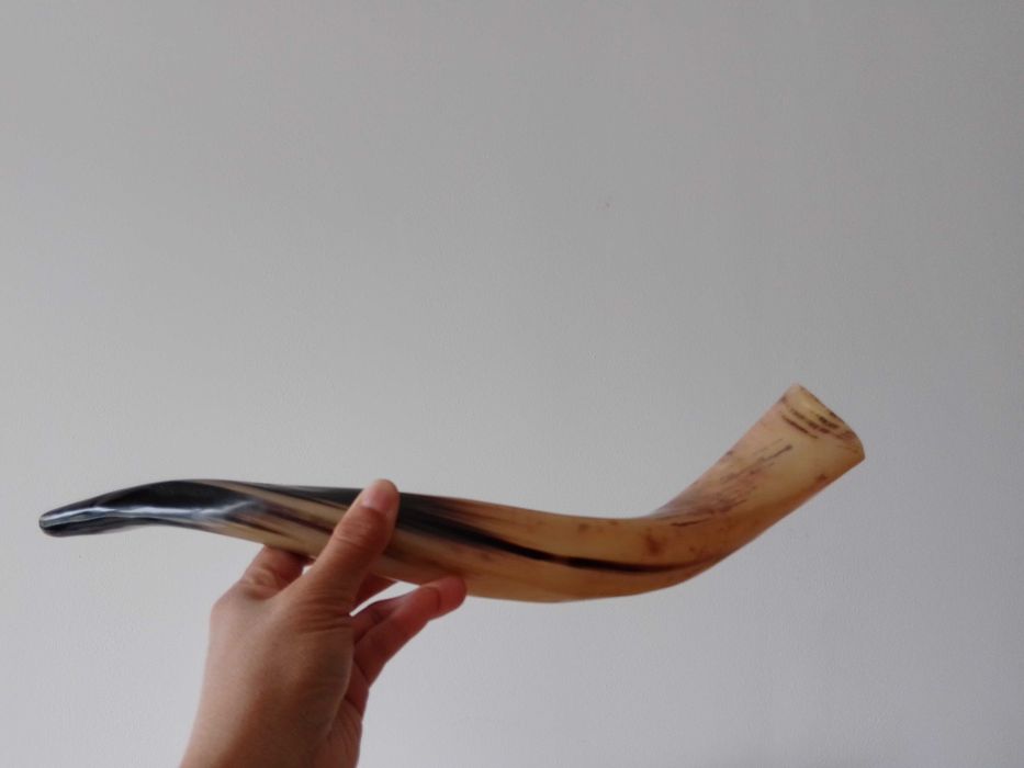 Идеальный Йеменский рог. Шофар!