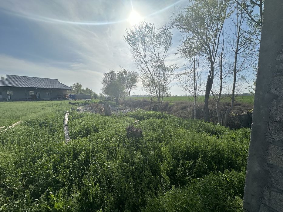 Ферма чорвага кизиканларга зор жой