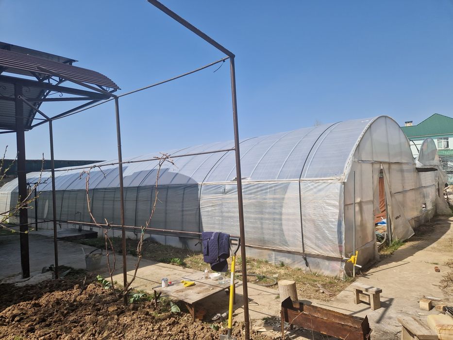 Теплица сатылады.