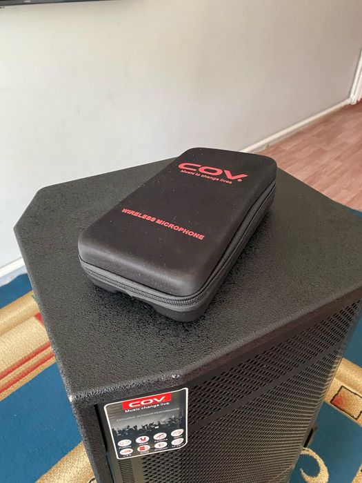 Музыкальная колонка COV