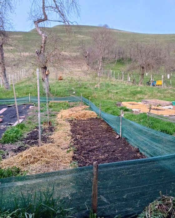 Casa la tara cu teren 2000 mp, intravilan – Vecerd, jud. Sibiu