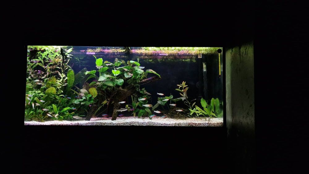 Аквариум Ferplast Dubai като нов