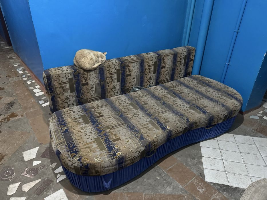 самовывоз бесплатно