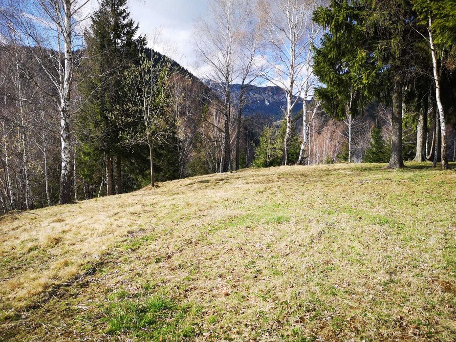 Teren intravilan cu PUZ sat Pestera - Moieciu - 4000 mp (apa, gaz, curent)