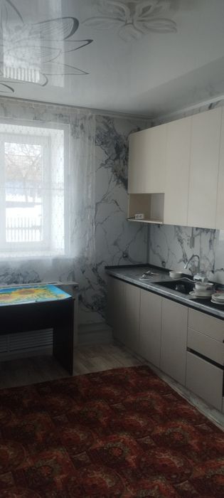 Продам дом с. Секисовка