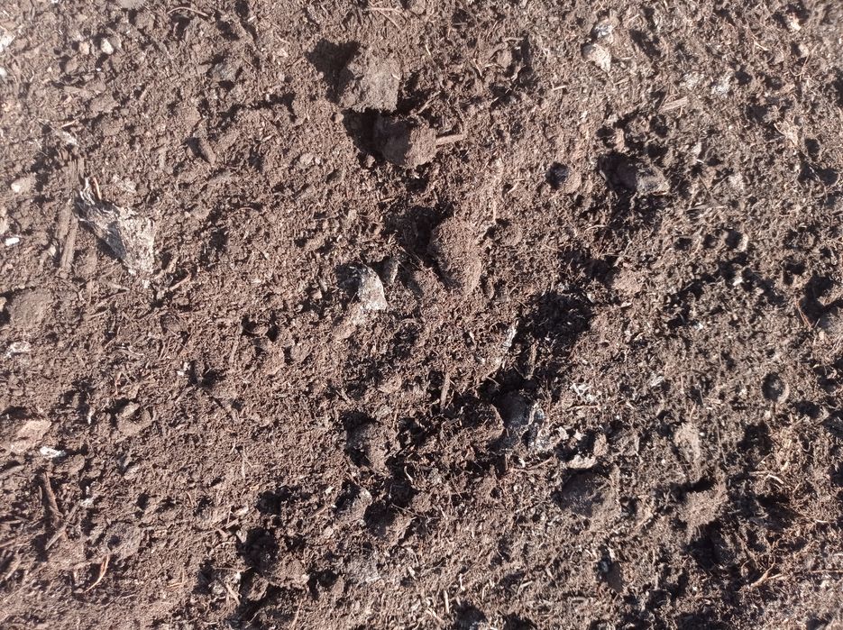 Перегной,чернозём