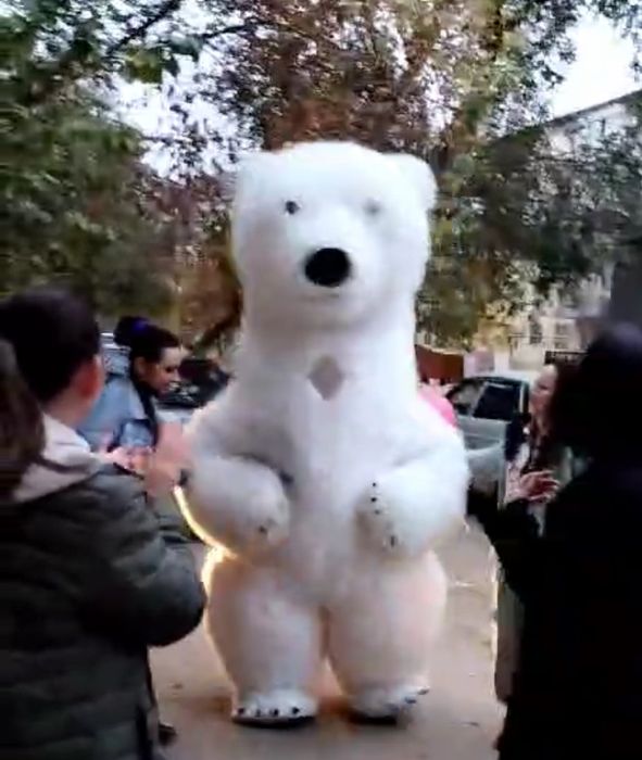 Аниматор мишка 5000