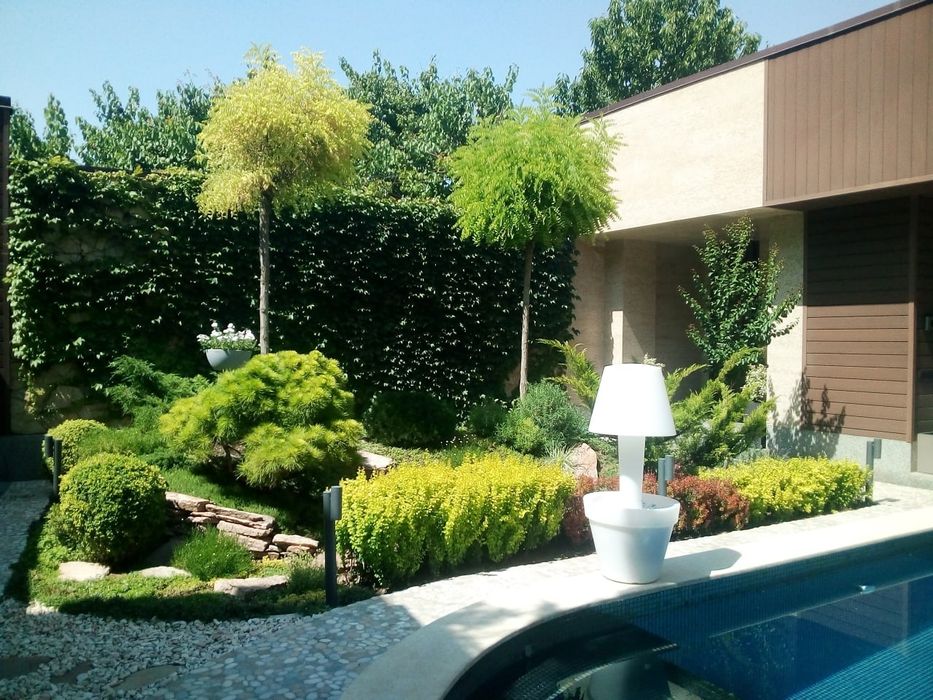 Уход за растениями