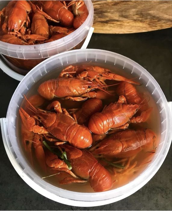 Живые раки,клешни краба,камчатский краб,креветки